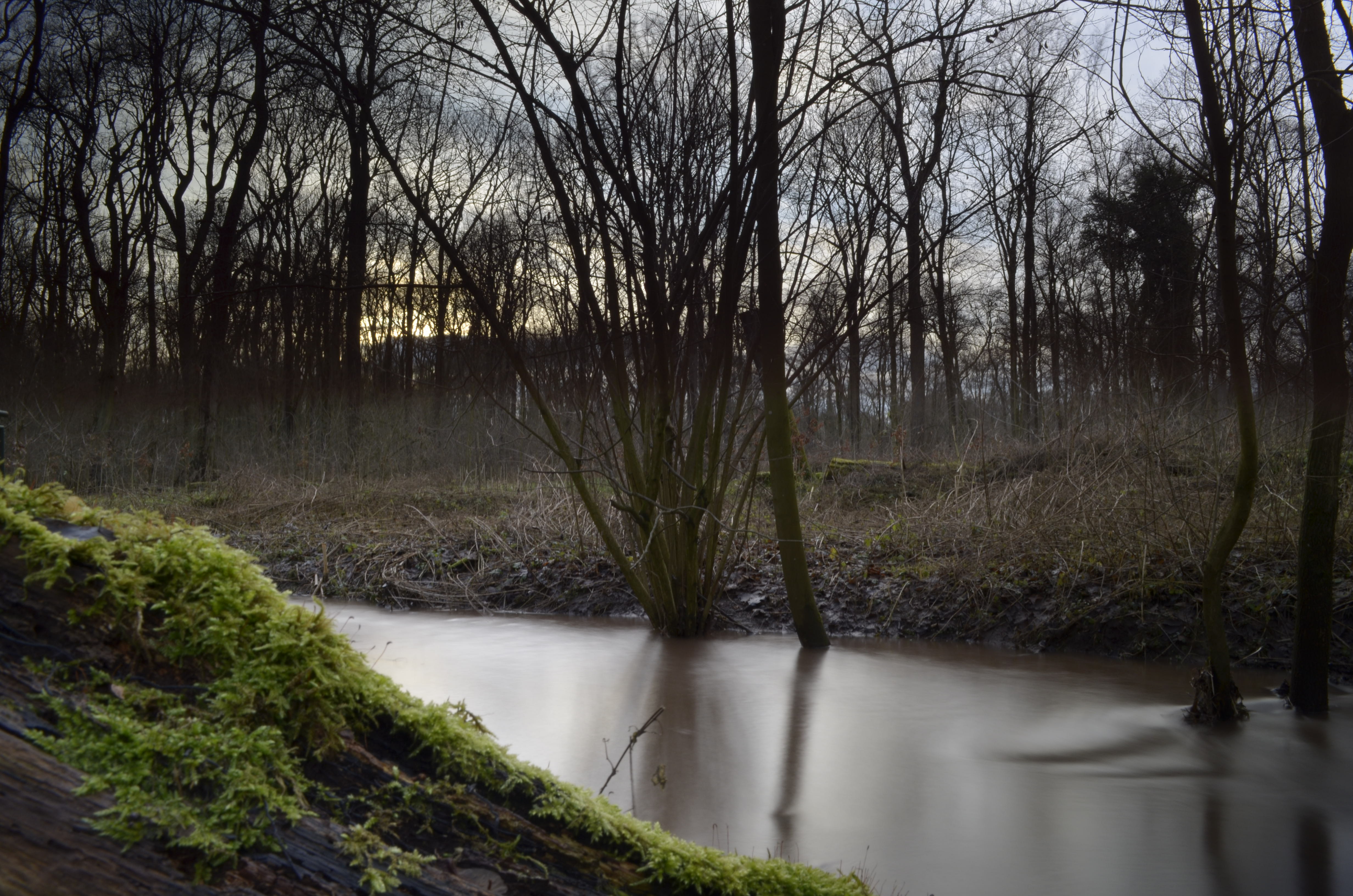 Naturfotografie 5